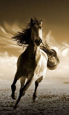 Download wallpaper 1280x2120 running, horse, animal, iphone 6 plus, 1280x2120 hd background, 5178