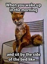 Image result for Bad Morning Meme