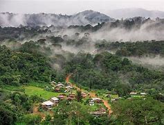 Image result for วิว French Guiana
