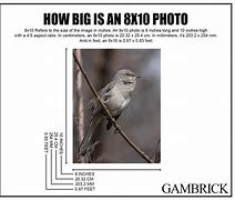 Image result for How Big Is 8X10 Photo