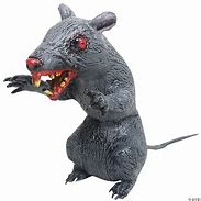 Image result for Evil Rat Brand
