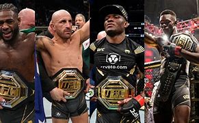 Image result for Top 10 UFC Fighters by Weight Class