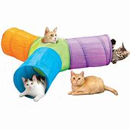 Image result for Pop Up Cat Run