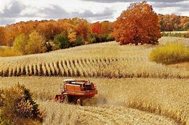 Image result for Free Images of Fall Harvest