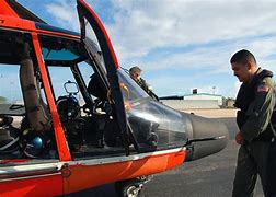 Image result for Coast Guard Dolphin Pilot