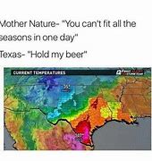 Image result for Baby Elephant Texas Weather Meme