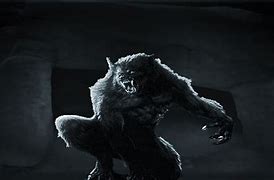 Image result for Twilight Breaking Dawn Werewolf Wallpaper