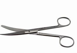Image result for Blunt Curved Scissors