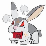 Image result for Mean Rabbit Pictures