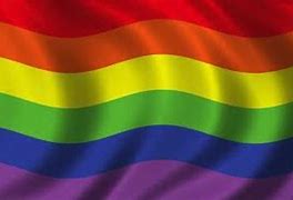 Image result for Rainbow Flag Jpg