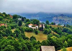 Image result for Vrbica Crna Gora