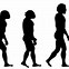 Image result for Monkey to Human Evolution Meme