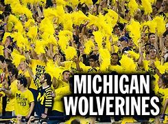 Image result for Michigan Wolverines Football Fans