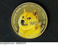 Image result for Doge Meme Coin
