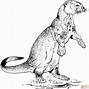 Image result for Otter to Color Printable