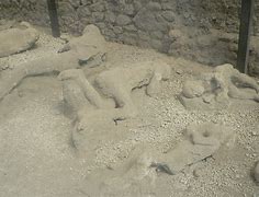 Image result for Pompeii Volcano Eruption Bodies
