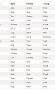 Image result for Top Male Dog Names