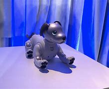Image result for Sony Aibo Zoomer