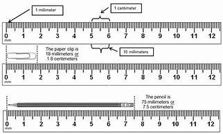 Image result for How Long 20Cm