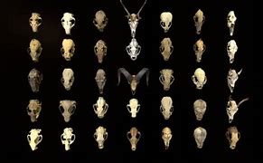 Image result for 3D Paper Skull Template