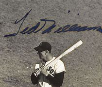Image result for Ted Williams Stuff