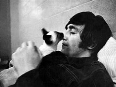 Image result for John Lennon Cat