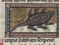 Image result for Bestiary Scorpion