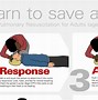 Image result for Adult CPR Cycle