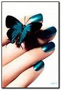 Image result for Butterfly iPhone Wallpaper