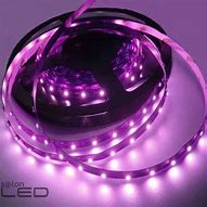 Image result for Purple LED Lights