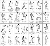 Image result for Wu Tai Chi Chuan