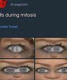 Image result for iPhone 11 Mitosis Meme