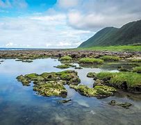 Image result for Orchid Island Taiwan