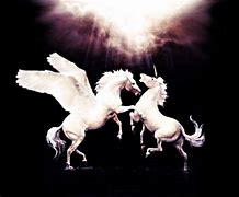 Image result for Pegasus vs Unicorn