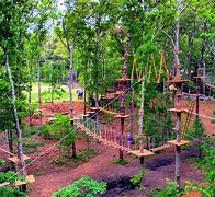 Image result for Outdoor Adventure Parks Near Me