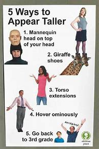 Image result for Memes for People Who Are Short