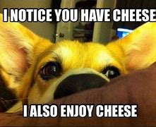 Image result for Cheesy Funny Memes