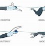 Image result for Swimming Types