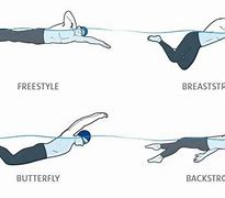 Image result for What Are the Four Swimming Strokes