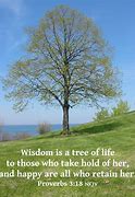 Image result for Proverbs About Life Wisdom