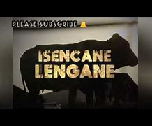 Image result for Isencane Lengane Season 2