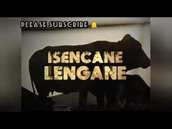 Image result for Isencane Lengane Season 2