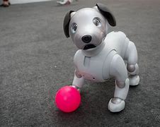 Image result for Sony Aibo Robot Dog Toys