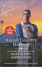 Image result for Love Inspired Amish Books
