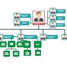 Image result for Organizational Chart Example