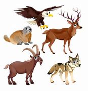 Image result for Mountain Animals Clip Art