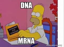 Image result for Discovering DNA Meme