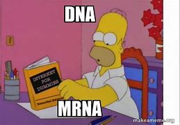 Image result for Itallian DNA Meme