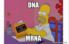 Image result for Reddit DNA Meme