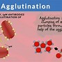 Image result for aglutinabte